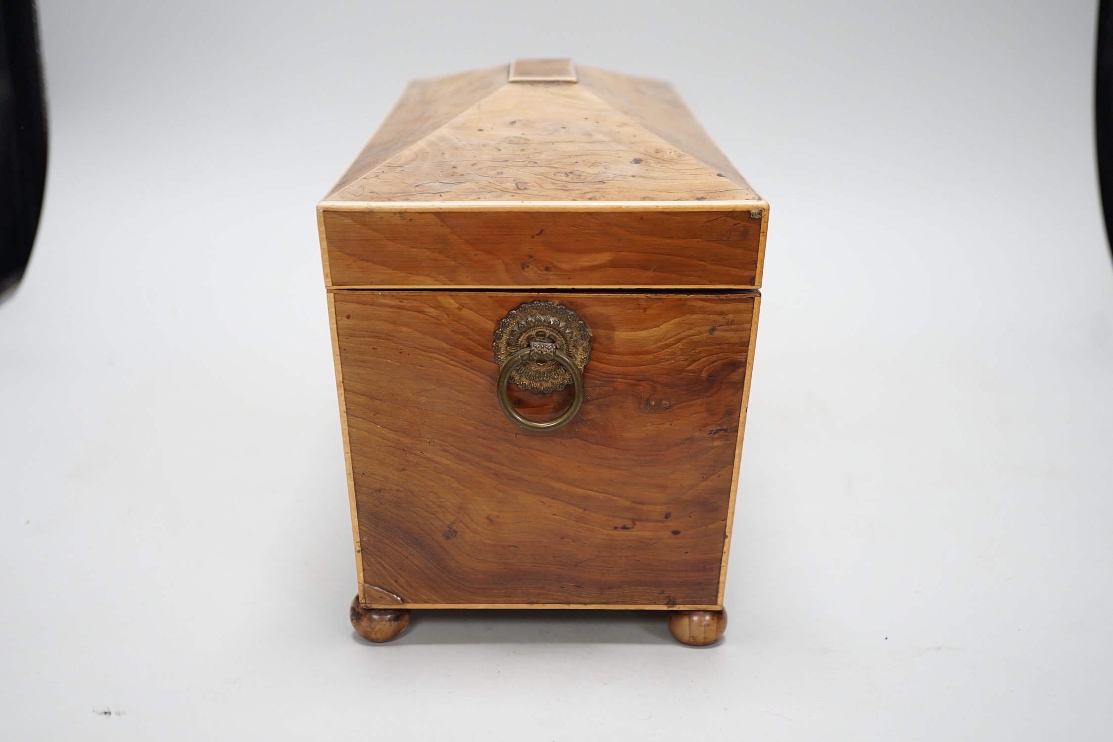 A Regency burr yew tea caddy (partly sun-bleached). 33cm wide
